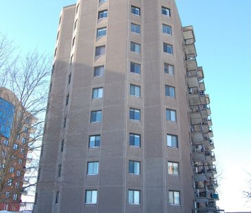 À louer / Appartement - Photo 1