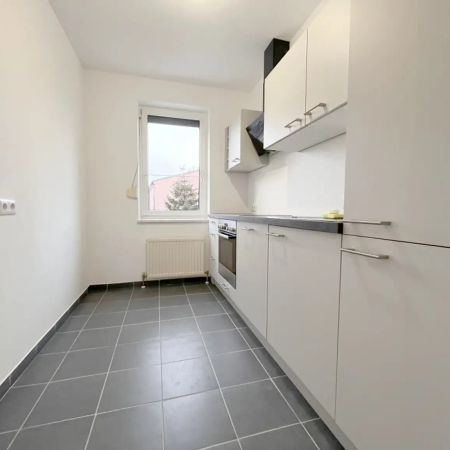 Helle 2-Zimmerwohnung - Ruheoase mit perfekter Verkehrsanbindung! - Photo 4