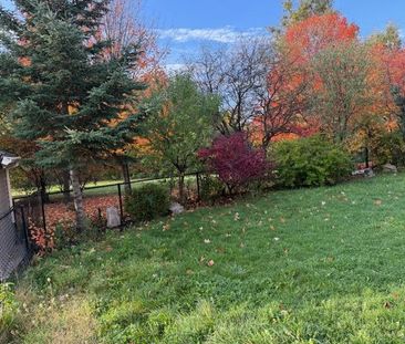 For Lease - 12 Cobblestone Court Unit# (Basement), Brampton, Ontario - Photo 1