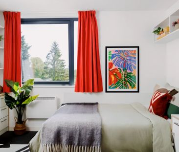 Large Studio - Photo 4