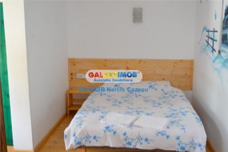 Baneasa Aerogarii Ocna Sibiului pensiune 8 camere - Fotografie 2