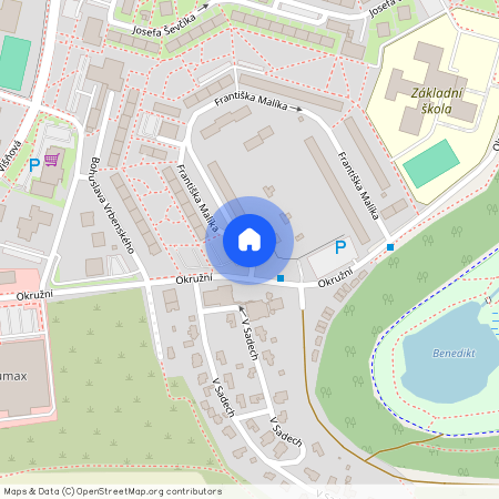 Františka Malíka, Most