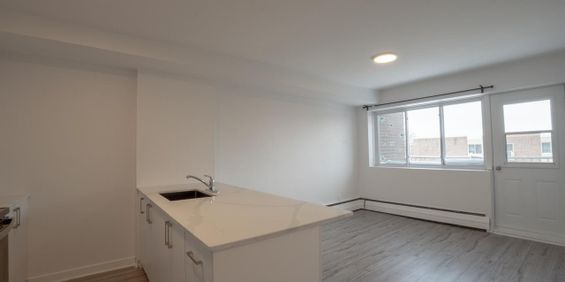 2 Bed, 1 Bath - 50 Rue Crépeau, Saint-Laurent - Photo 3