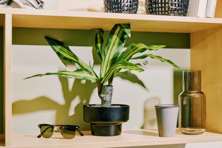 Scape Darling House, Sydney - Photo 4