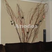 Διαμέρισμα για ενοικίαση - Καστέλλα - Πασαλιμάνι, - Photo 1