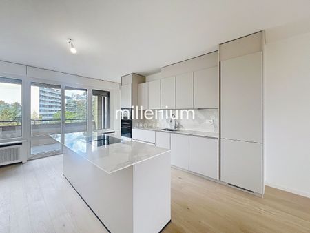 Exceptional apartment completely renovated at Quai du Seujet - Photo 4