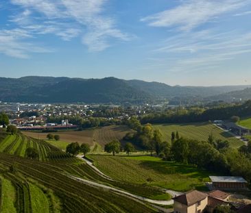 FINO A 3 MESI GRATUITI -3.5 locali con 2 servizi a Coldrerio - Foto 3