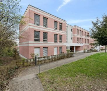 2 Zimmer, 72 m², EG - Photo 6
