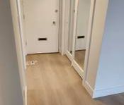 Newly Renovated Pet Friendly 1 Bedroom Suite - Photo 4