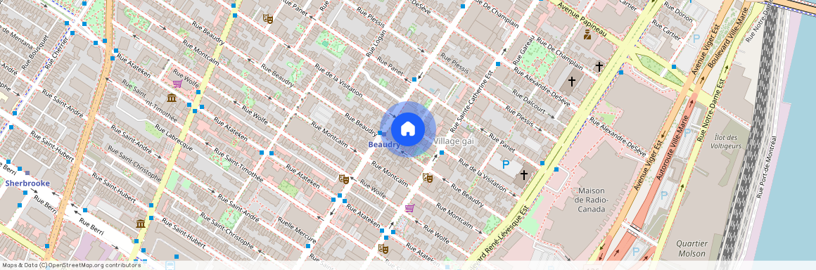 1462 Rue de la Visitation, apt. 2, H2L3B8, Montréal (Ville-Marie)