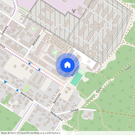 Bartnicka, Włocławek