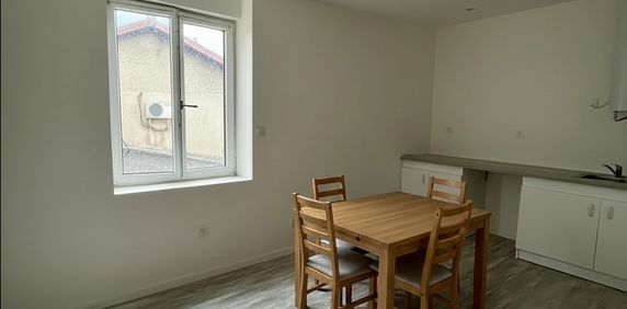 Location Appartement 1 pièce 26m² ROANNE 42300 - Photo 2