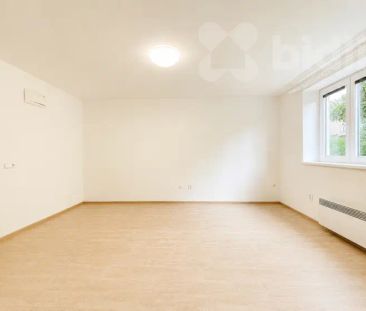 Pronájem bytu 1+1 Dvůr Králové - Photo 2