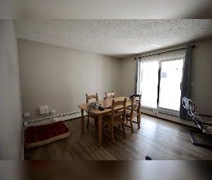 2 Bed 2 Bath West Edmonton Apartement For Rent - Photo 4