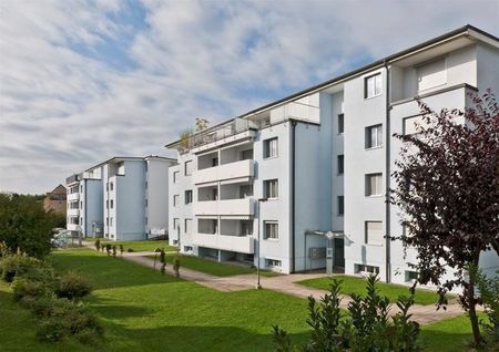 MIETEN OHNE KAUTION - Dachwohnung mit herrlicher Aussicht ins Grüne - Foto 5