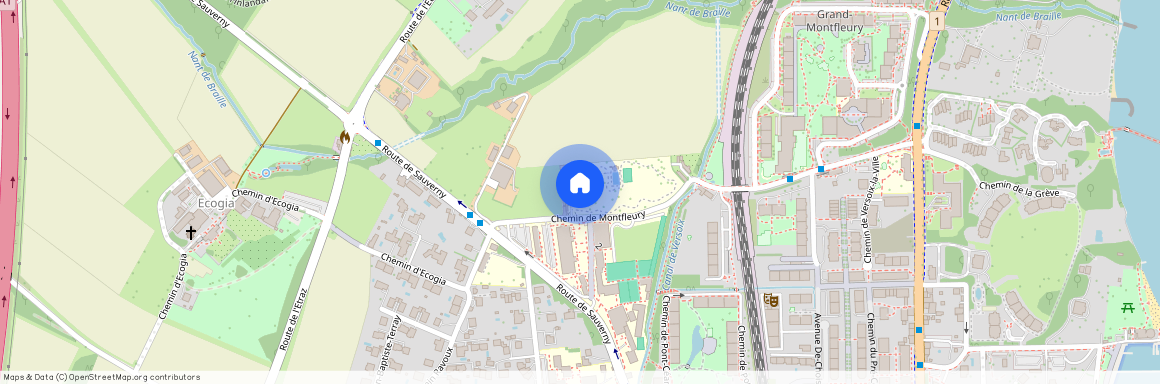 1290, Versoix, Montfleury 56, 42