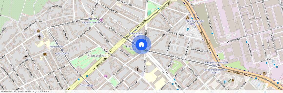 Carl-Bosch-Str. 128, 67063 Rheinland-Pfalz - Ludwigshafen