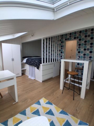 Location Appartement 1 pièce 19m² - Photo 3