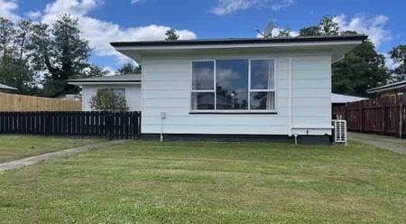 Newly Renovated & Spacious 3 Bedroom Home - Huntly - Photo 4