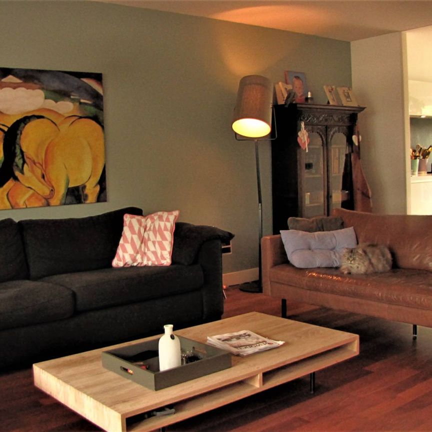 Pleviersingel, 29, 2492PR, Den Haag - Photo 1