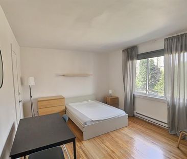 1820 Boul. Rosemont - Photo 4