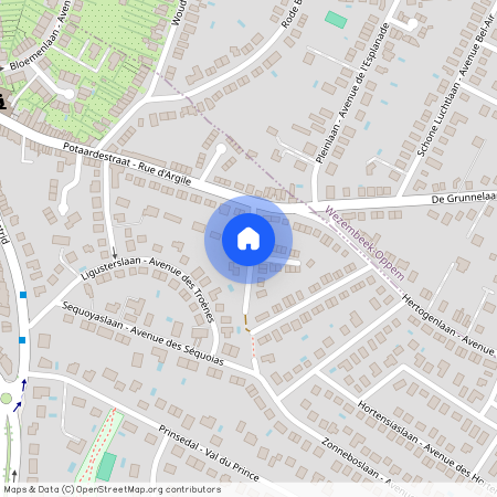 Avenue des Mimosas, 1950, Kraainem