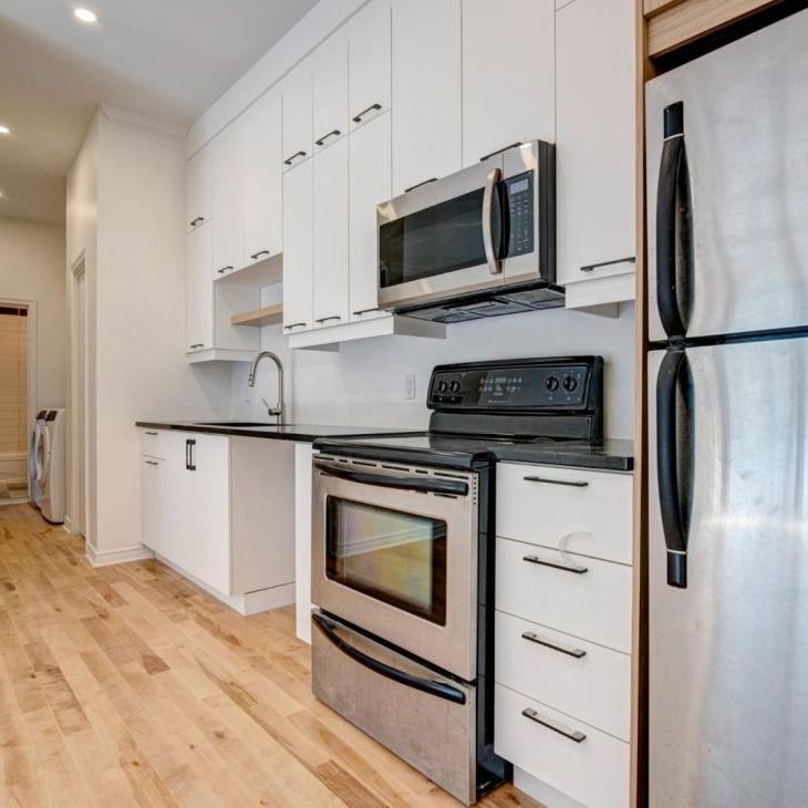 4052 Av. du Parc-La Fontaine, app.4, H2L 3M8, Montréal - Photo 1