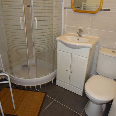 Location Appartement 1 pièce 22m² ORLEANS 45000 - Photo 4