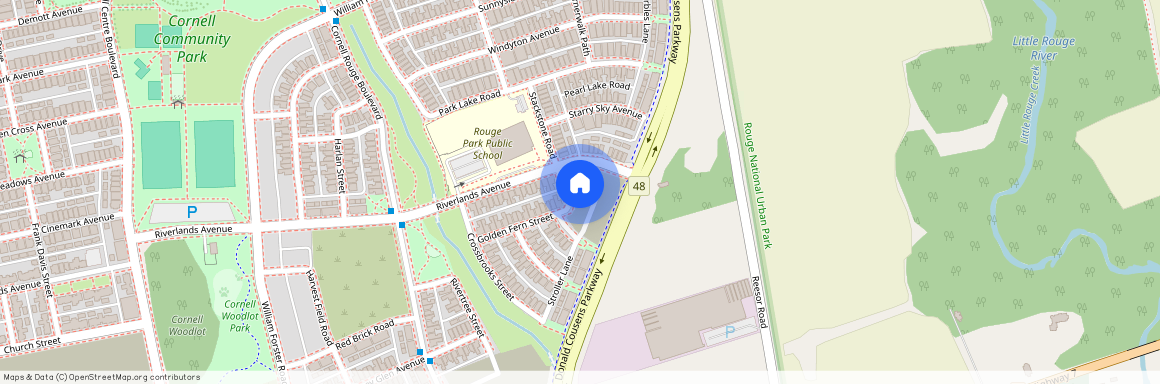 39 Golden Fern Street, Markham