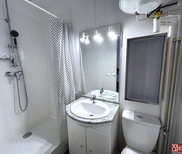 Location Appartement 1 pièce 16m² LAXOU 54520 - Photo 5