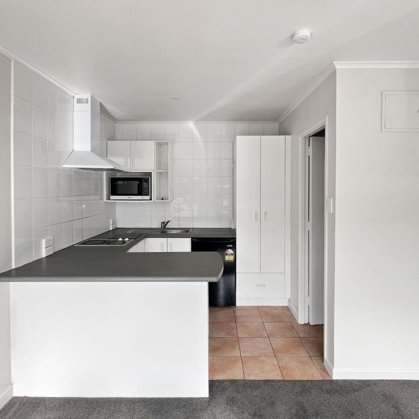 Sunny and warm STUDIO unit - Photo 1