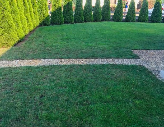 Zwei Zimmerwohnung in Wathlingen zu vermieten - Photo 1