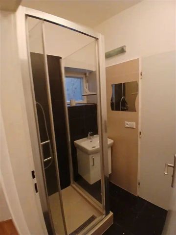 Pronájem bytu 2+1 - Photo 5