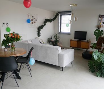 Gommers / Jardin des Fleurs - Foto 3