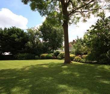 3 bedroom apartment to rent - Photo 5