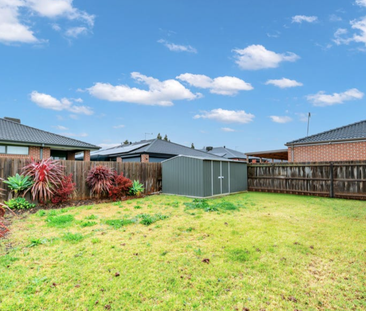 Spacious and Comfortable Family Home in Harkness - Photo 6