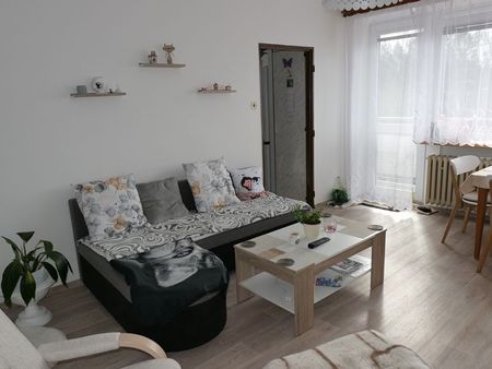 Pronájem bytu 3+1 75 m², U Kaštánku , Červený Kostelec - Fotografie 3