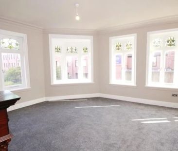 15 Potter Street - Photo 4