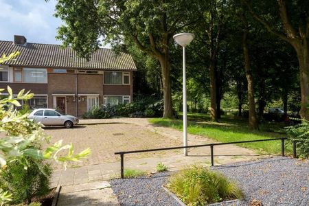 Te huur: Kamer Venuslaan in Eindhoven - Photo 4