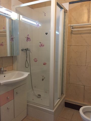 Location Appartement 1 pièce 19m² - Photo 2