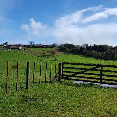 Property Management400 Waitakere Rd, Taupaki - House for Rent - Photo 1