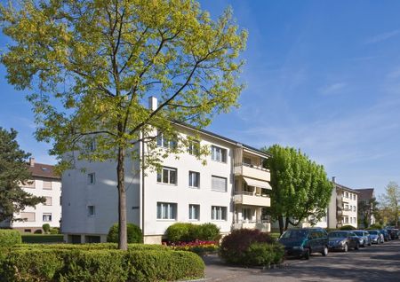 Neuer Glanz in Münchenstein: Strangsanierte 3.5-Zimmer-Wohnung - Photo 2