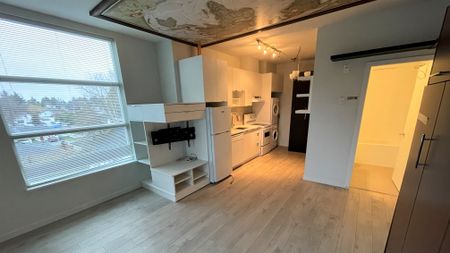 Bachelor Suite For Rent In Surrey/ Pets Allowed. - Photo 4