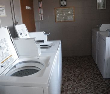 One Bedroom Apartment - Photo 1