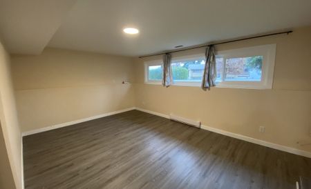 1110 St. Patrick Crescent – Lower - Photo 4