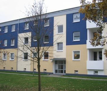 Celle - Neues Land 9b - Photo 1