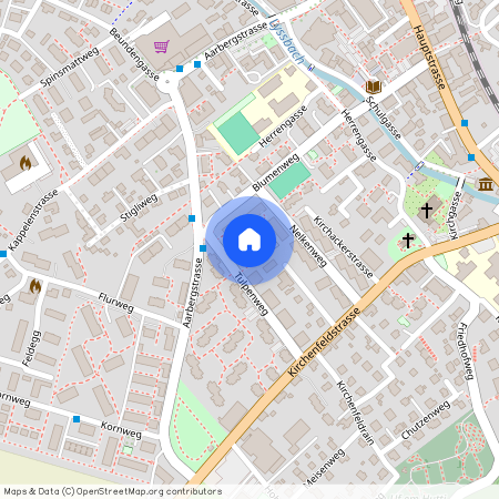 3250, Lyss, Tulpenweg, 9