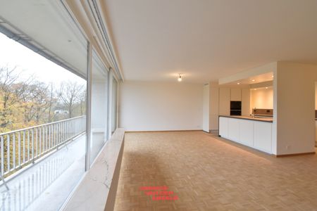 Ruim en volledig gerenoveerd appartement met 3 slaapkamers - Photo 5