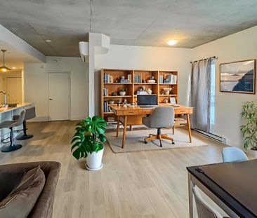 Appartement à Montréal (Mercier/Hochelaga-Maisonneuve) - Photo 6