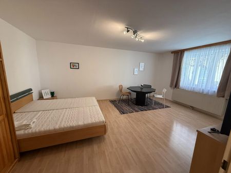 Möblierte Appartements zu vermieten - Auch Kurzzeitmiete - Photo 3